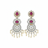 Earrings Close-up Detail