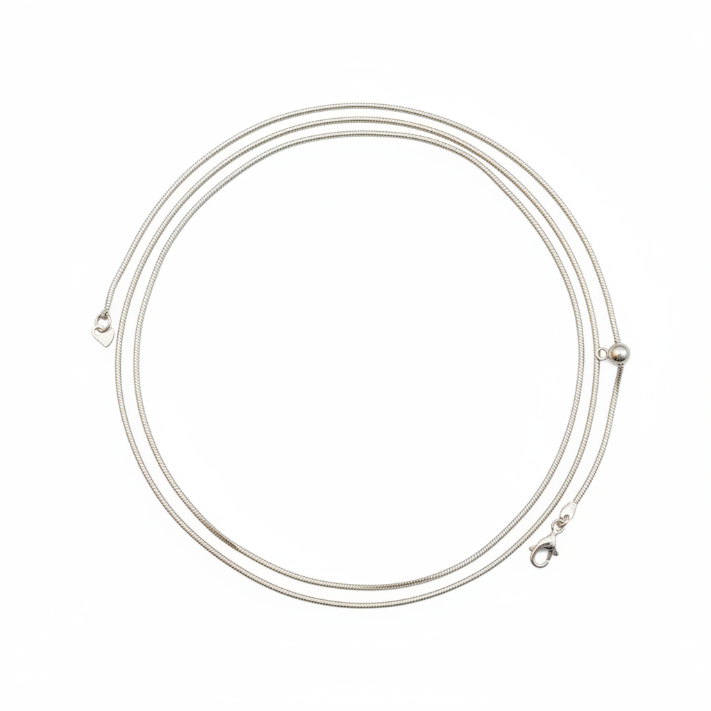 925 Sterling Silver Snake Belly Chain arranged in circle on white background