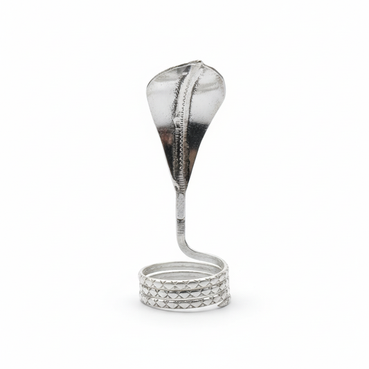 Pure Silver Nag Devta - Clean Product Shot