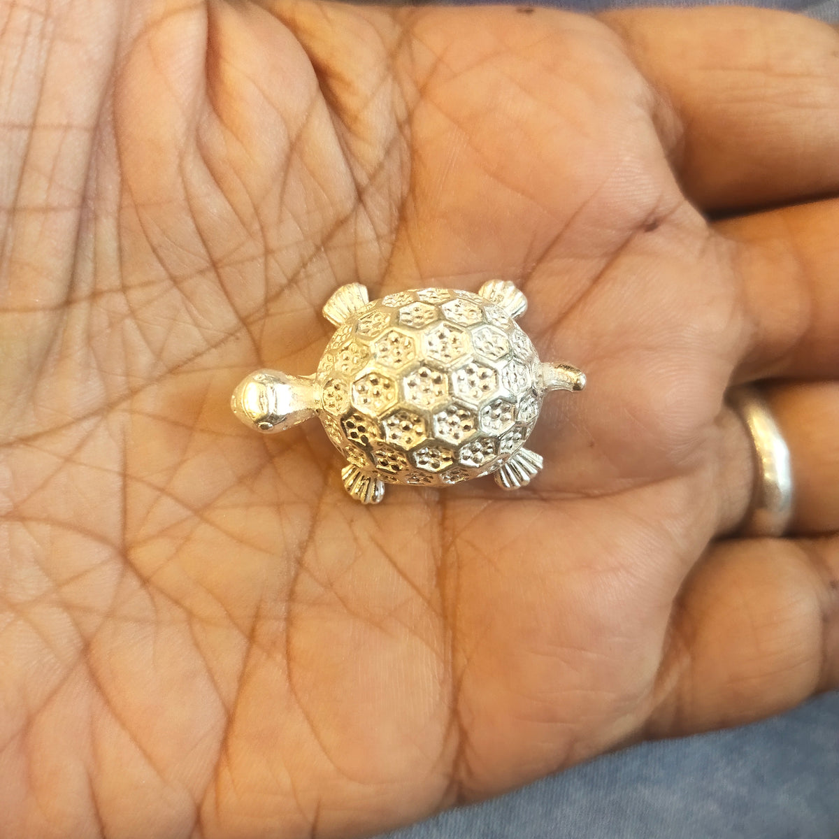 Silver Turtle Idol with Patterned Shell