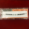 92.5 Sterling Silver Turtle Charm Bracelet for Kids | Black Bead Children's Bracelet