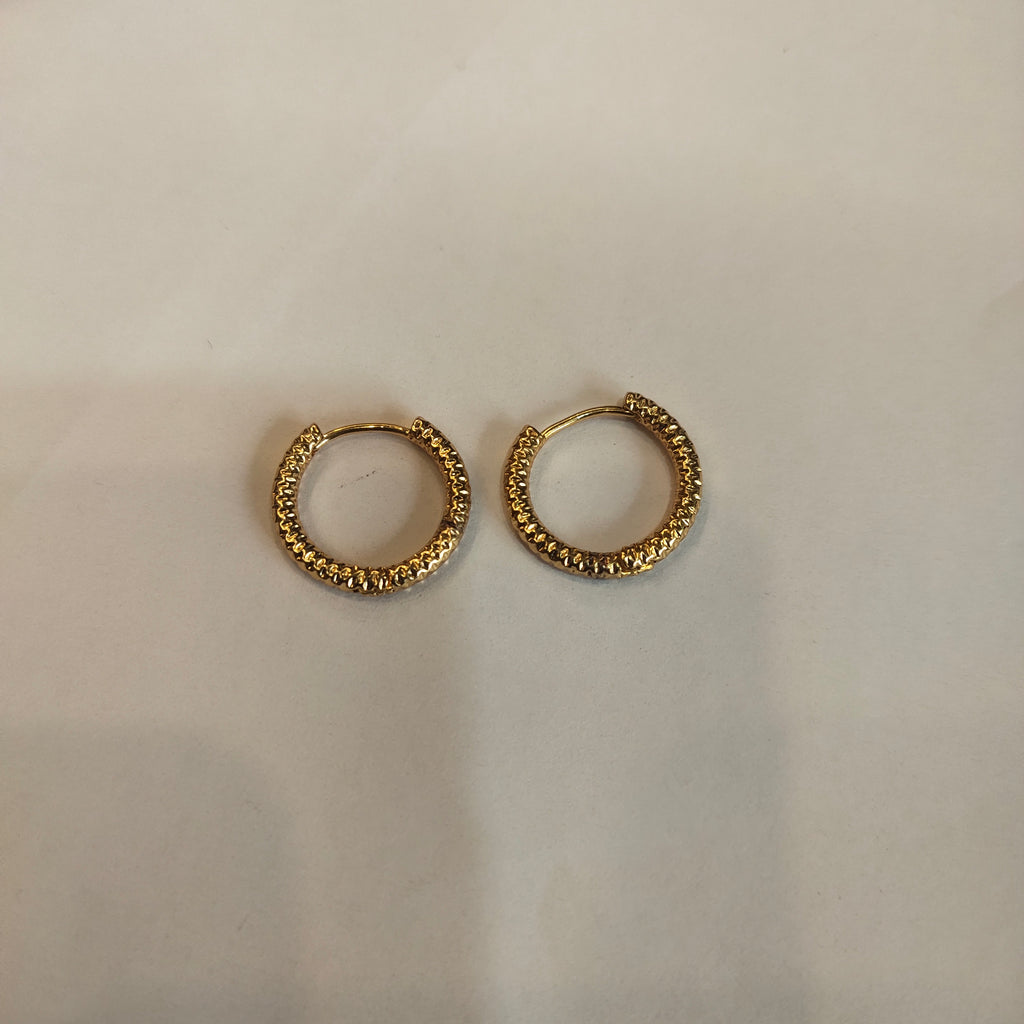 Asp 24 K Gold Plated Hoop Earrings