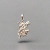 silver-hanuman-locket