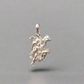silver-hanuman-locket